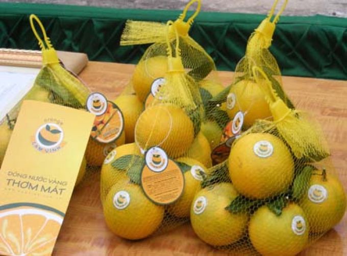 Dán tem truy xuất nguồn gốc cam Vinh