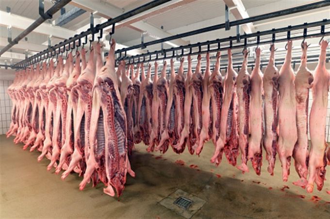 Kiến nghị cấp đông dự trữ thịt lợn, giải cứu người chăn nuôi