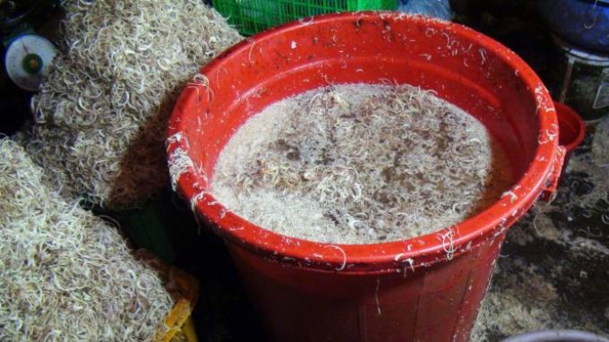 Phát hiện nhiều cơ sở ngâm hoá chất lạ vào bắp chuối