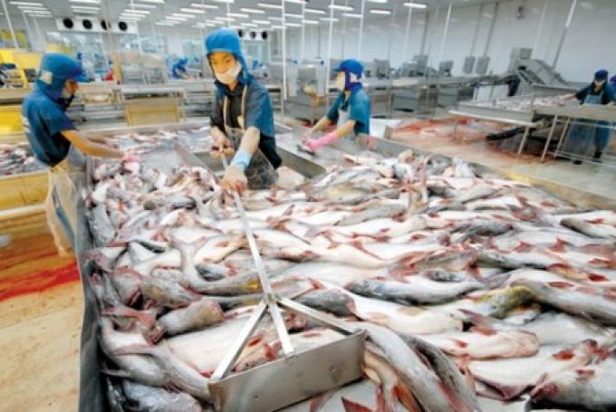 Nhập khẩu thủy sản vào Việt Nam tăng mạnh