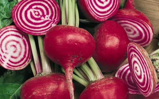 củ cải đường