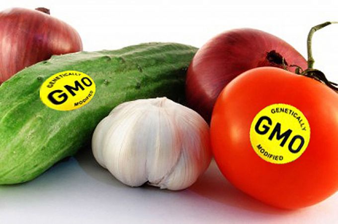 Top 10 thực phẩm biến đổi gen nguy hiểm nhất hiện nay