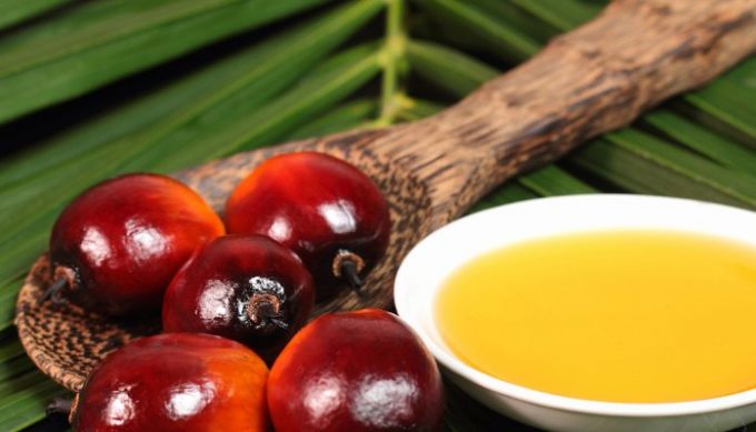 Hội thảo &ldquo;Thương mại Indonesia-Việt Nam: Tăng cường hợp t&aacute;c xuất nhập khẩu dầu cọ v&agrave; giấy&rdquo; 