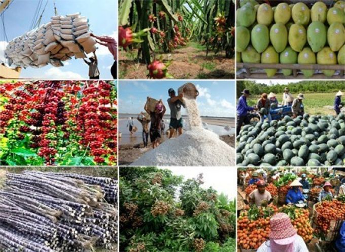Xác minh thông tin hàng Việt xuất khẩu nhưng gắn mác ngoại