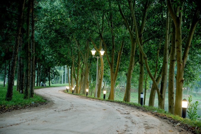 Cơn đường thơ