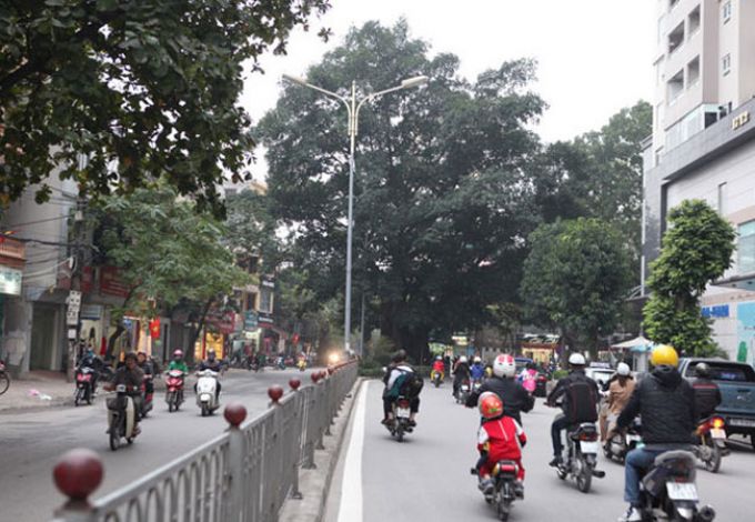Hà Nội Duyệt chỉ giới đường đỏ, mở rộng tuyến phố Vũ Trọng Phụng