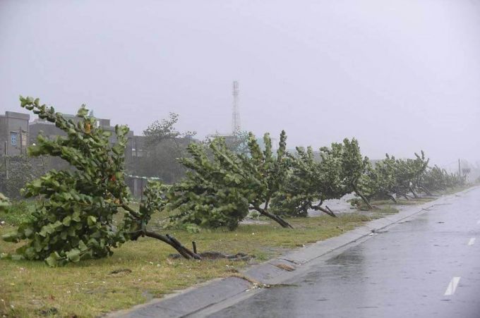 Ảnh hưởng cơn b&atilde;o số 10 (Ảnh minh họa)