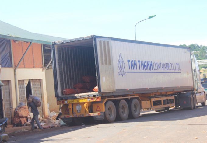 Khoai t&acirc;y Trung Quốc được nhập về chợ n&ocirc;ng sản Đ&agrave; Lạt