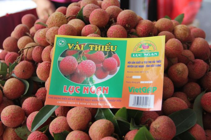 Việt Nam có lô vải thiều đầu tiên xuất khẩu sang Thái Lan