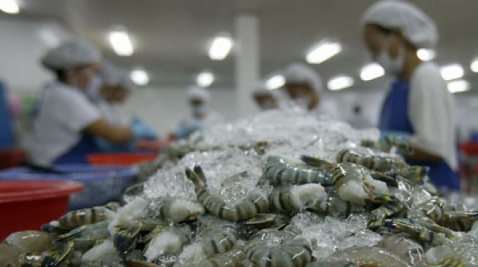 Siết chặt điều kiện nhập khẩu tôm vào Úc