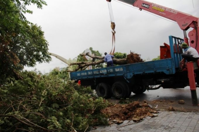 Thanh H&oacute;a tăng cường c&ocirc;ng t&aacute;c ph&ograve;ng chống, ứng ph&oacute;. 