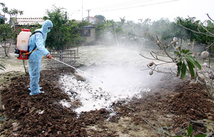 Thủ tướng Chính phủ ra công điện tăng cường công tác phòng, chống sốt xuất huyết