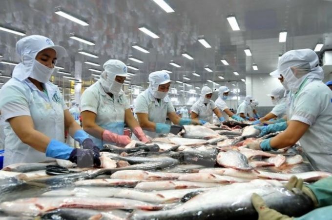 Thủ tướng yêu cầu tìm giải pháp gỡ khó cho cá tra xuất khẩu sang Mỹ