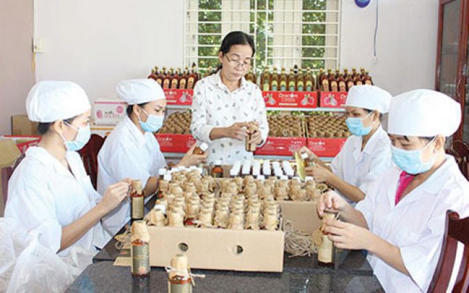 Đến 2025 hỗ trợ 20.000 phụ nữ khởi nghiệp