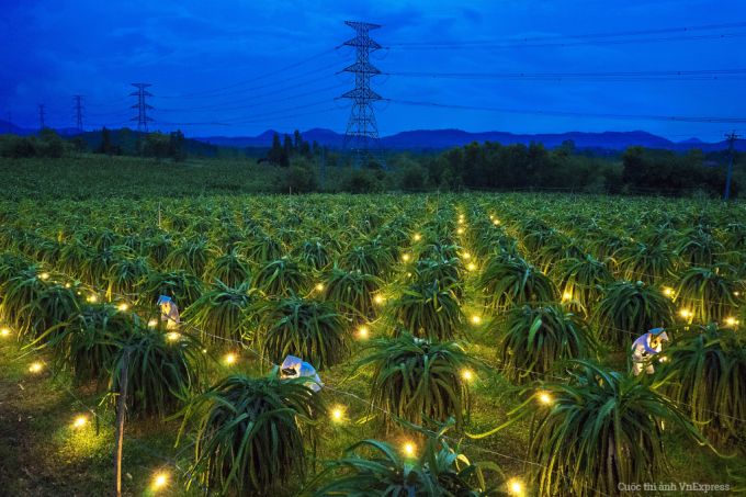 Chính phủ khuyến khích doanh nghiệp đầu tư vào nông nghiệp