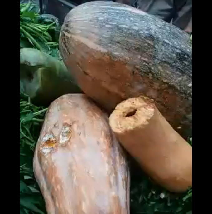 Vĩnh Tường, Vĩnh Phúc Phát hiện thực phẩm bẩn nhập vào trường cho học sinh ăn