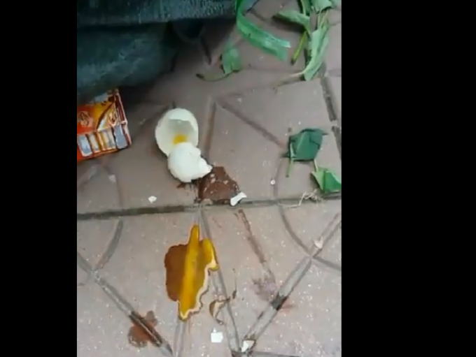 Nhiều phụ huynh cho rằng trứng cung cấp cho nh&agrave; trường l&agrave; trứng giả. (Ảnh cắt từ video).