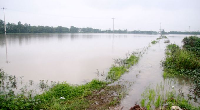 Nhiều c&aacute;nh đồng tại x&atilde; Lại Y&ecirc;n ngập nước.