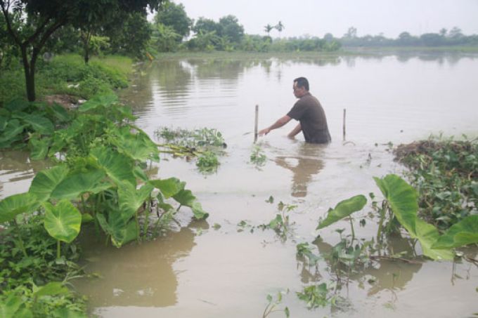 Hoài Đức, Hà Nội Nhiều tuyến kênh xuống cấp nghiêm trọng