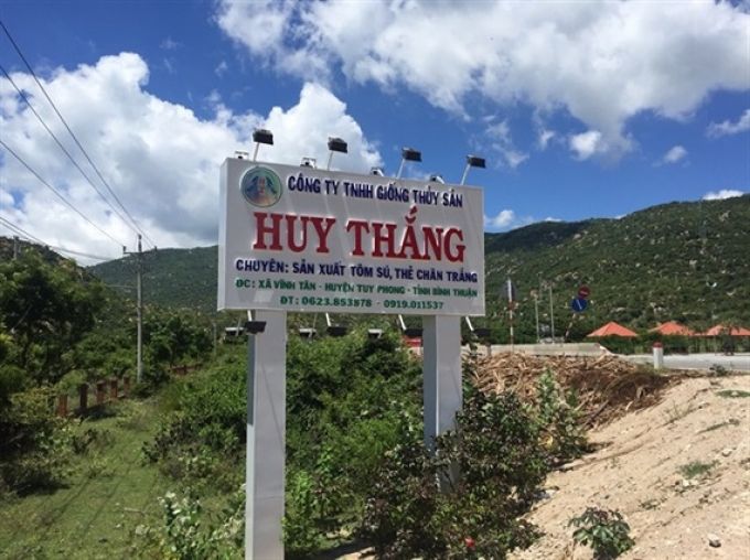 Bình Thuận Xử phạt Công ty Huy Thắng vi phạm sản xuất tôm giống