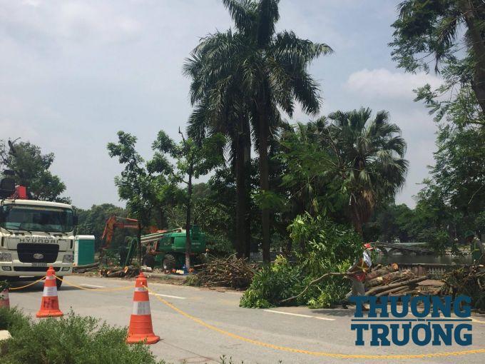 việc chặt c&acirc;y xanh ở H&agrave; Nội kh&oacute; c&oacute; thể l&agrave;m tăng &ocirc; nhiễm kh&ocirc;ng kh&iacute; to&agrave;n th&agrave;nh phố, nhưng c&oacute; thể g&acirc;y ra &ocirc; nhiễm cục bộ tại c&aacute;c tuyến phố bị chặt c&acirc;y.