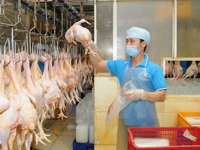 Xuất khẩu lô hàng thịt gà đầu tiên của Việt Nam sang Nhật Bản