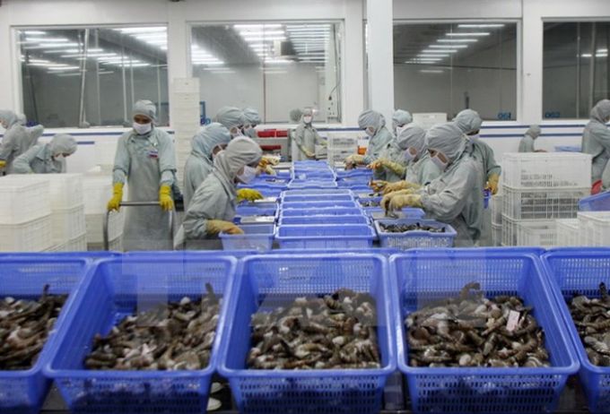 Việt Nam dẫn đầu thị trường nhập khẩu tôm vào EU