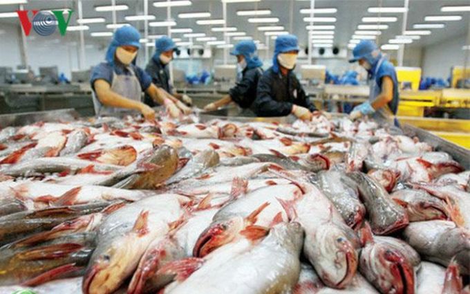 Trung Quốc gia tăng nhập khẩu cá tra Việt Nam