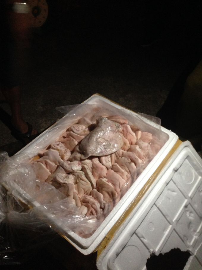 cận cảnh tai lợn thối kh&ocirc;ng giấy tờ hợp lệ