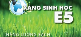 Xăng sinh học E5 góp phần bảo vệ môi trường